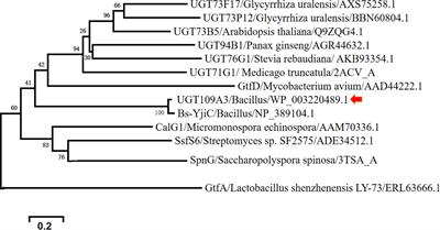 Highly Efficient Biosynthesis of Glycyrrhetinic Acid Glucosides by Coupling of Microbial Glycosyltransferase to Plant Sucrose Synthase